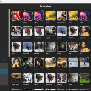 Ashampoo Photo Organizer Pro 26